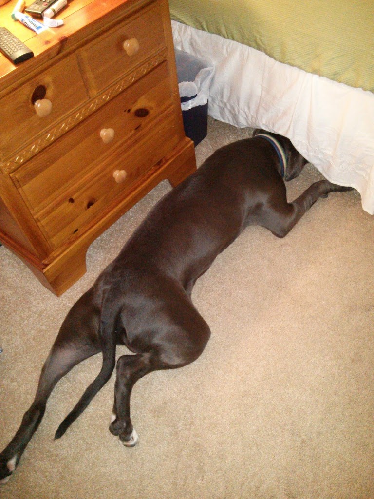 Clarke the calorie counter