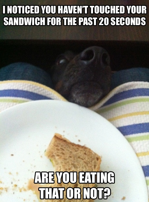 Sunday Funday: Week 5 Review