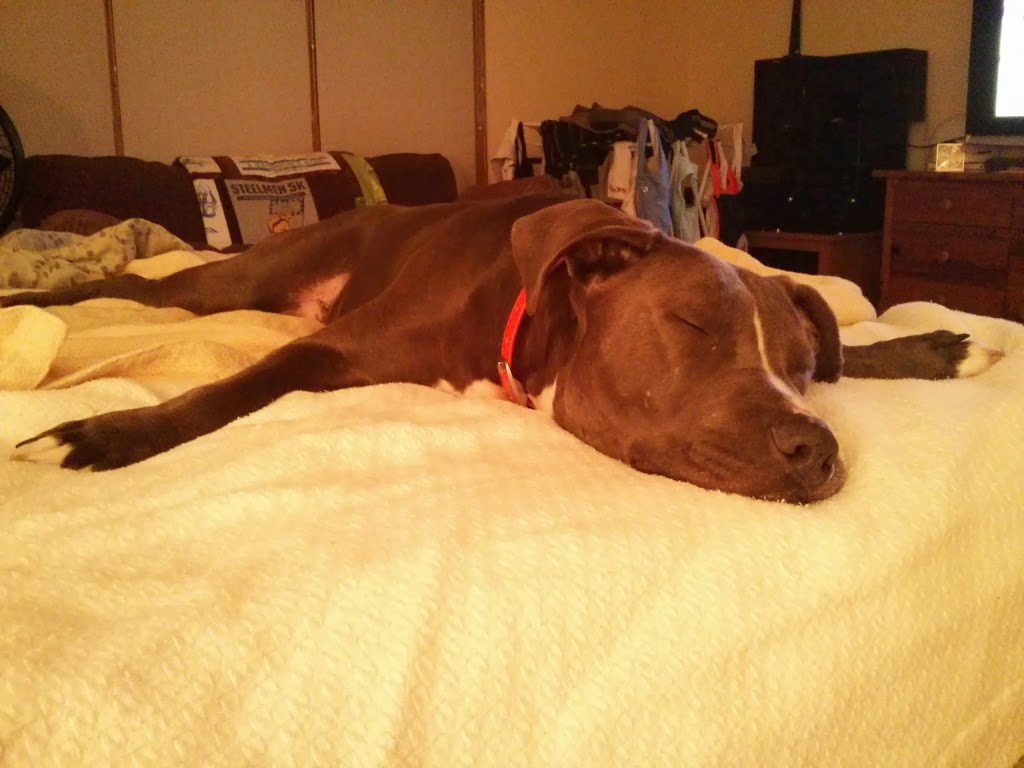 Sunday Funday:  Week 10 Review