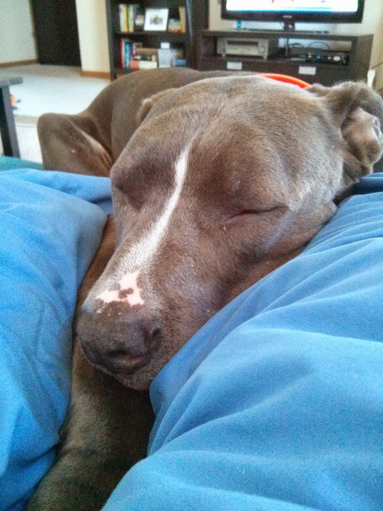 Sunday Funday:  Week 13 Review