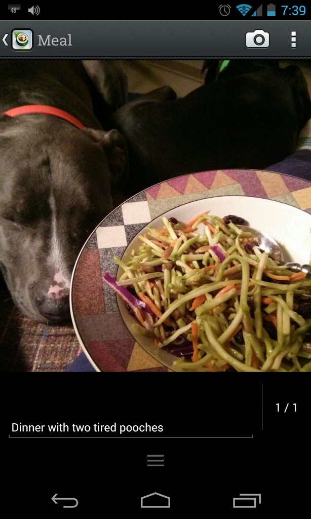 New Habit Monday:  Record what you eat