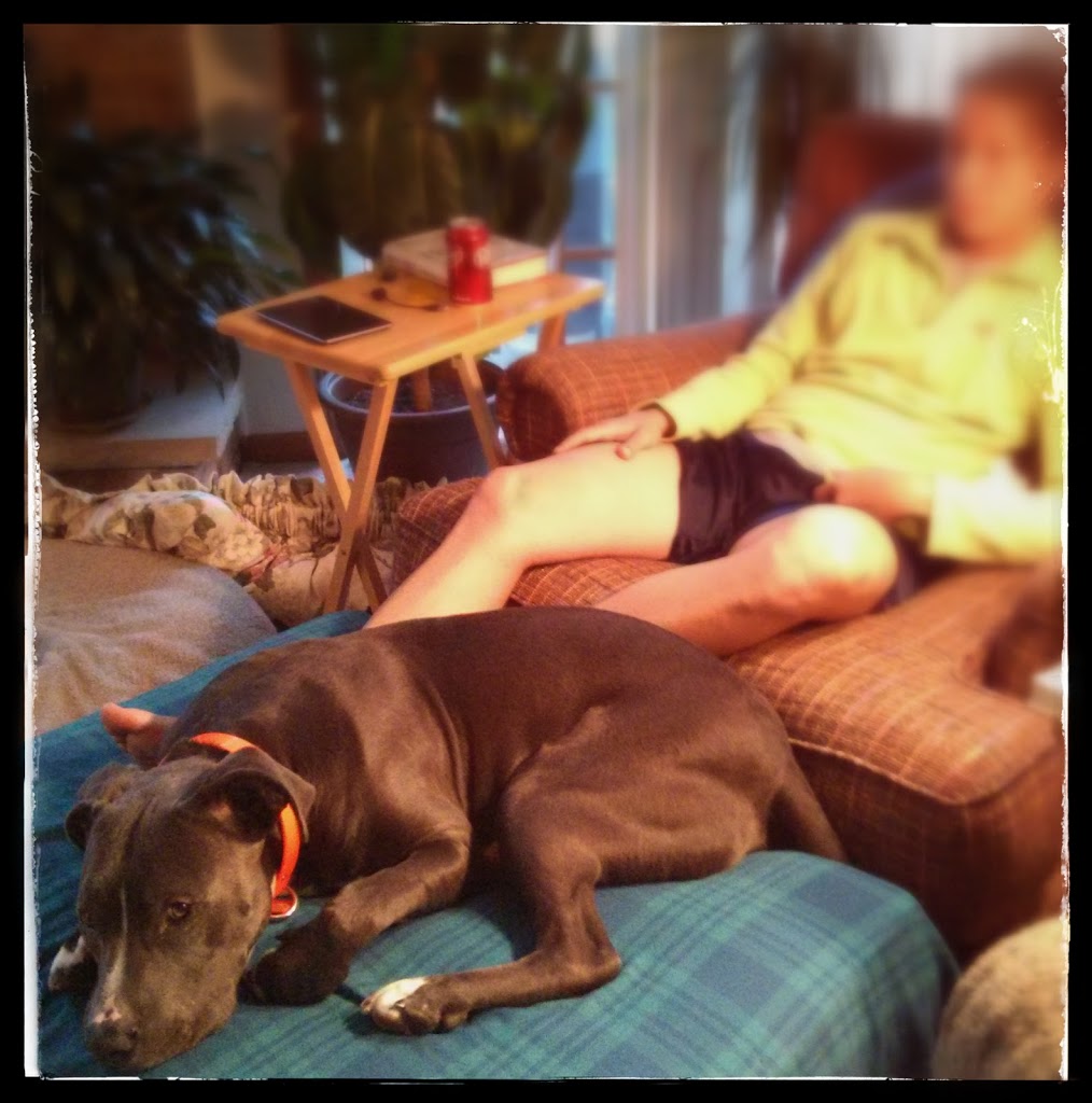 Sunday Funday: Week 11 Review