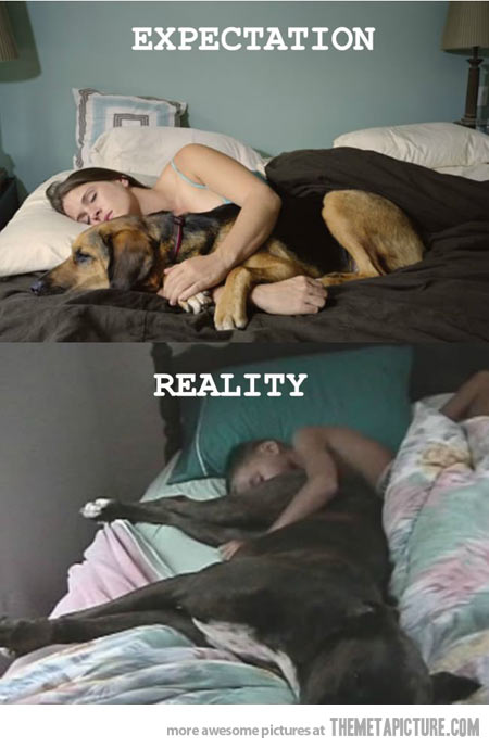 Sunday Funday:  Week 17 Review