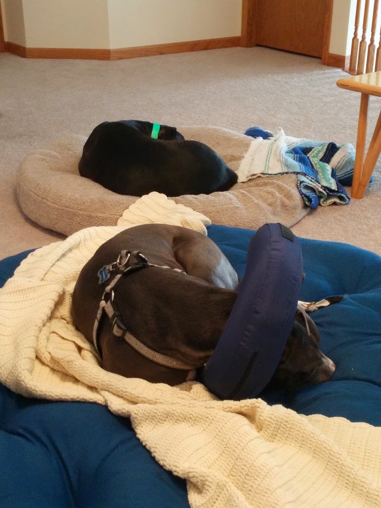 New Habit “Monday”: Use a Targeted Recovery Strategy