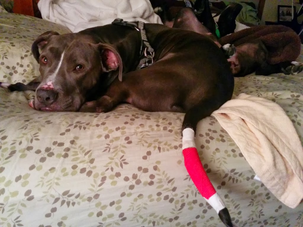 Sunday Funday:  Week 22 Review