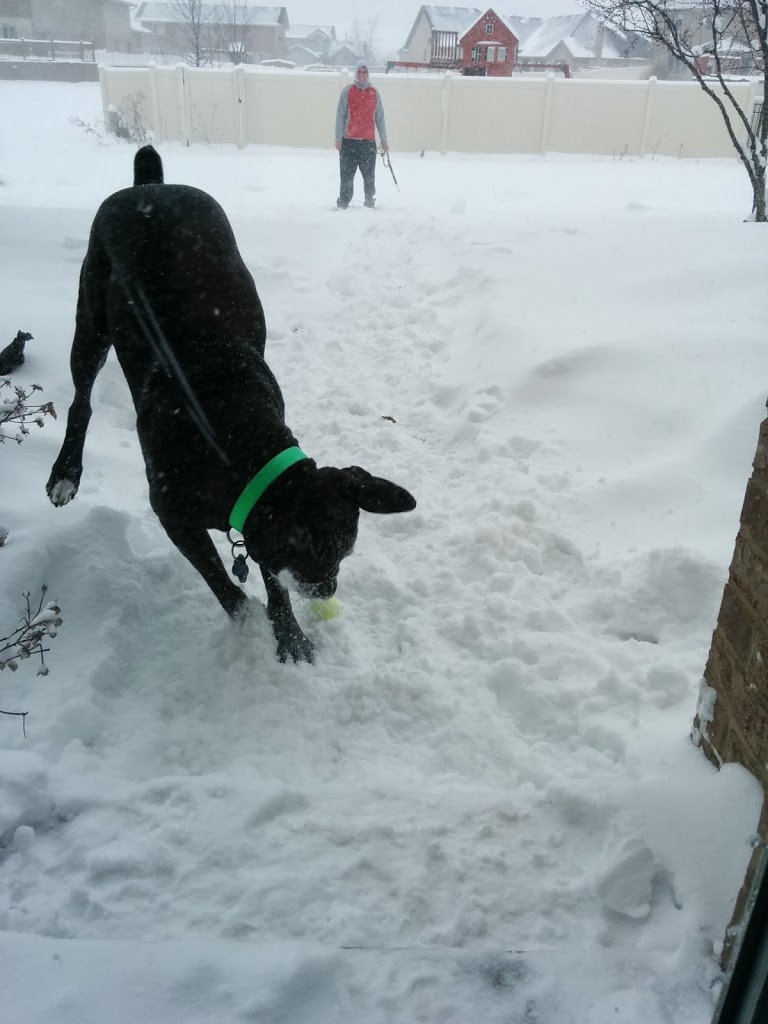 Sunday Funday:  Week 25 Review