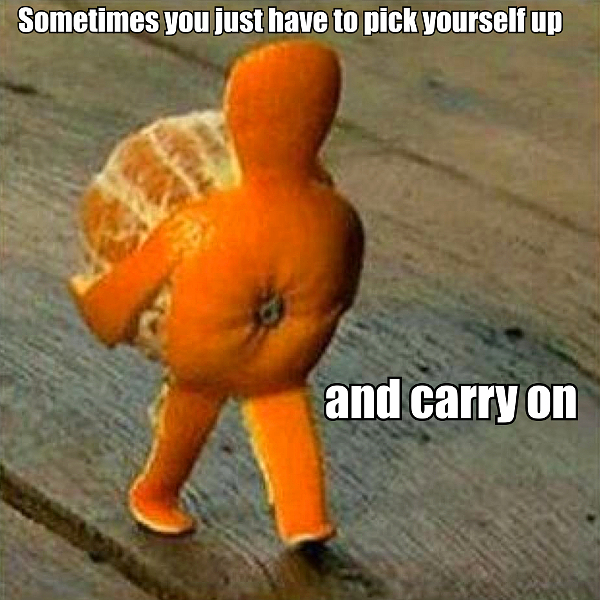 Sunday Funday:  Week 28 Review