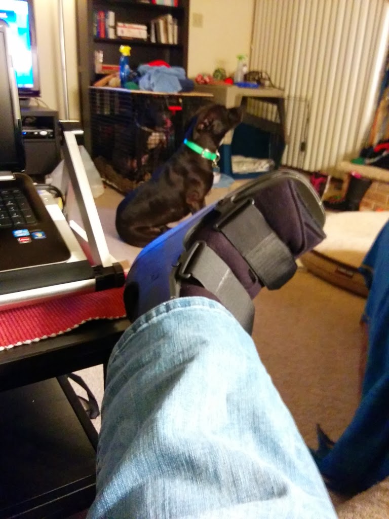 Sunday Funday:  Week 30 Review