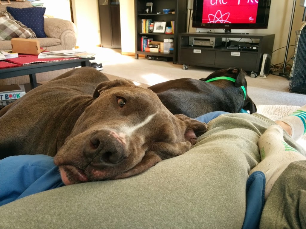 Sunday Funday:  Week 36 Review