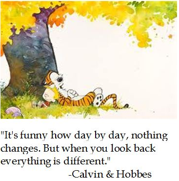 Sunday Funday:  Week 32 Review