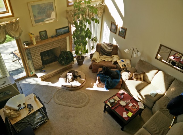 A view of my current humble abode, back when Clarke was still around. And yes, feel free to put your feet up on the coffee table. I don't mind at all.