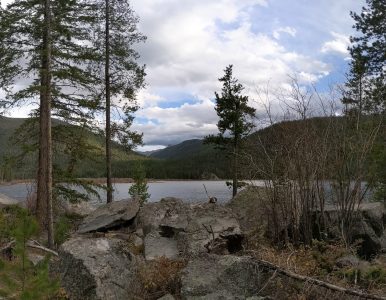 Who’s ready to see 2020 go?